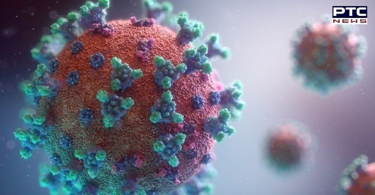 Chinese virologist claims coronavirus was made in Wuhan