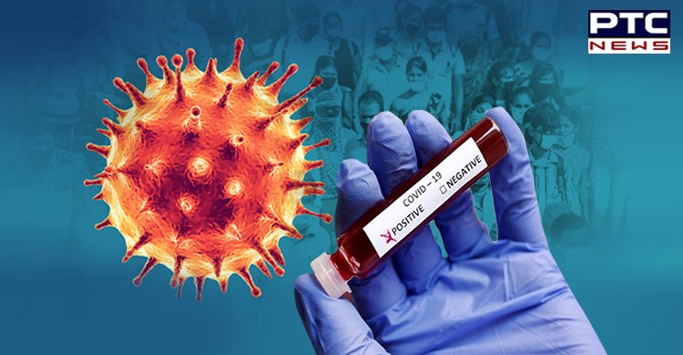 Shocking! Punjab reports biggest single-day spike of coronavirus cases
