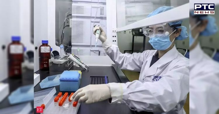 China coronavirus vaccine may be ready for the public in November