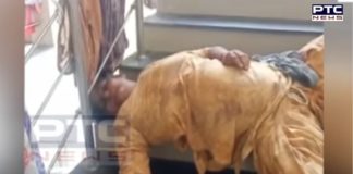 Patiala: COVID-19 patient unattended for 45 minutes, dies on stairs of Rajindra hospital