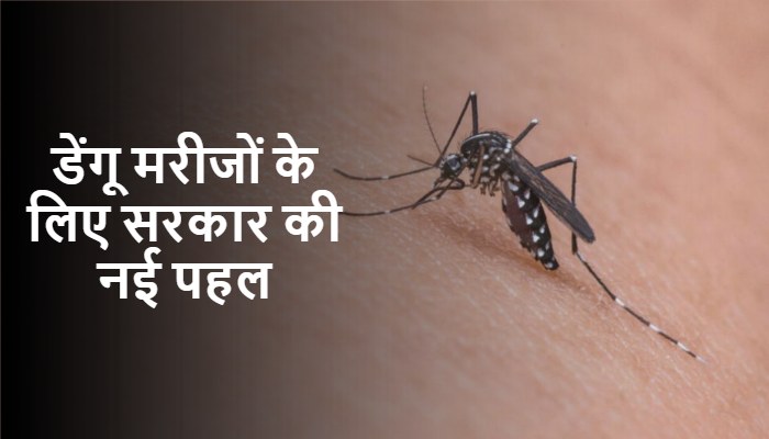 हरियाणा की सरकारी लैब्स में मुफ्त हो रहा डेंगू का परीक्षण, अब सरकार ने शुरू की ये पहल