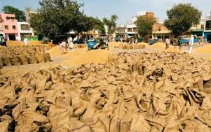 Additional purchase centres for the procurement of maize, Bajra and moong - Deputy CM Additional purchase centres for the procurement of maize, Bajra and moong - Deputy CM