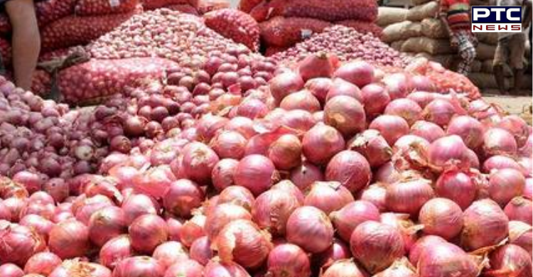 Live Onion Market