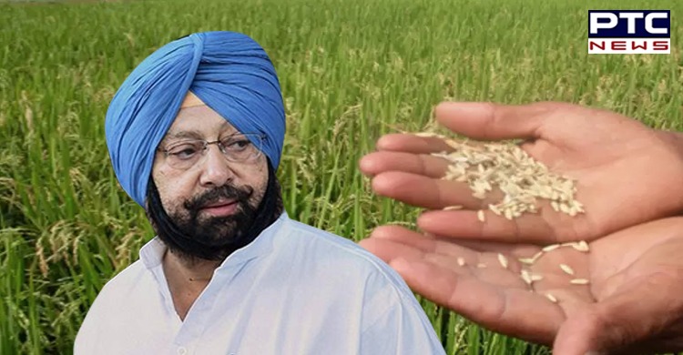 Punjab CM announces reduction in market and rural development fee for basmati