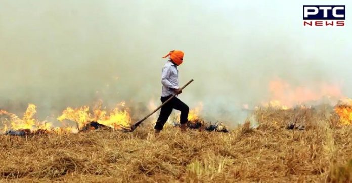 Captain Amarinder Singh sets up dedicated call centre team to check stubble burning Captain Amarinder Singh sets up dedicated call centre team to check stubble burning