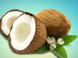 Lets know the benefits of Coconut on World Coconut Day 2020
