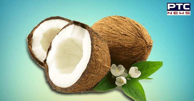 Lets know the benefits of Coconut on “World Coconut Day”