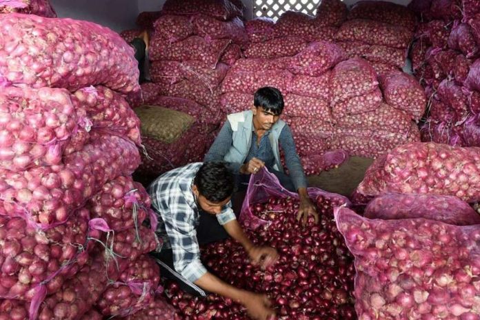 onion onion