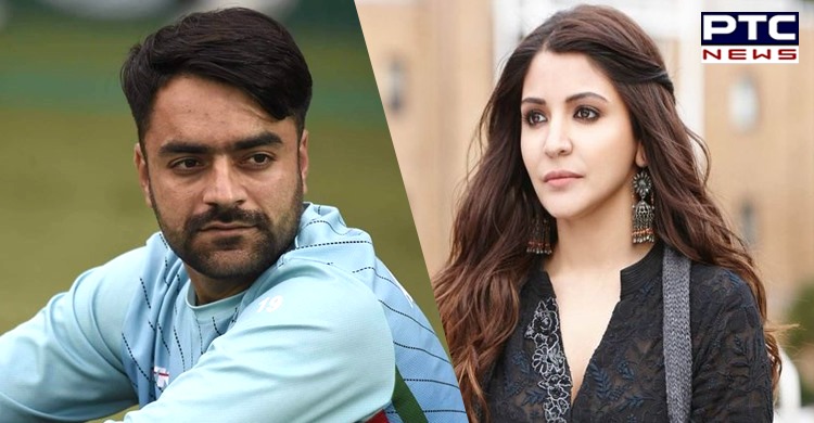 Google search shows Anushka Sharma is Rashid Khan's wife. Why?