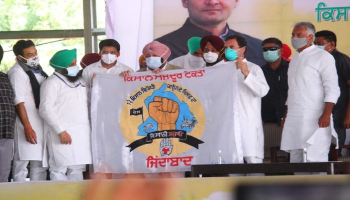 Congress Leader Rahul Gandhi Kheti Bachao Yatra in Punjab (2) Congress Leader Rahul Gandhi Kheti Bachao Yatra in Punjab