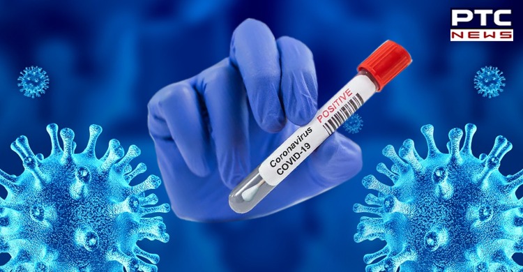 Coronavirus Update: Punjab reports 528 new COVID-19 cases in last 24 hours