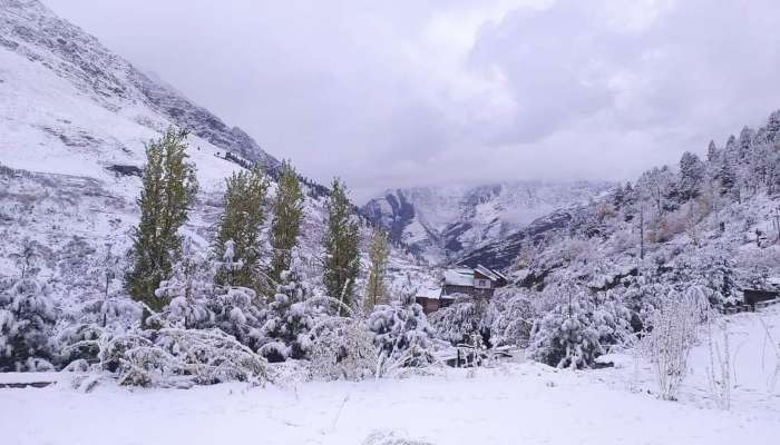 Fresh Snowfall in Himachal
