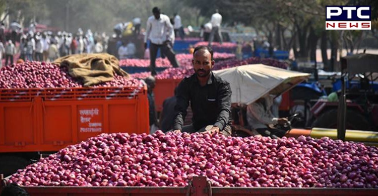 Government partially eases the restriction on export of onions