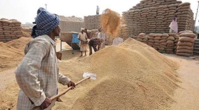 Paddy procurement Paddy Procurement