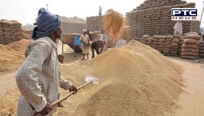 Punjab paddy 1 RBI extends CCL limit for Punjab paddy procuremen till Nov end