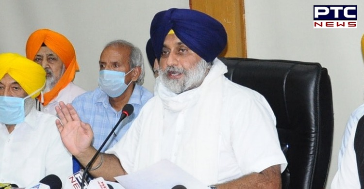 Sukhbir Badal says Centre should not victimize Punjab farmers for protesting against farm laws 2020