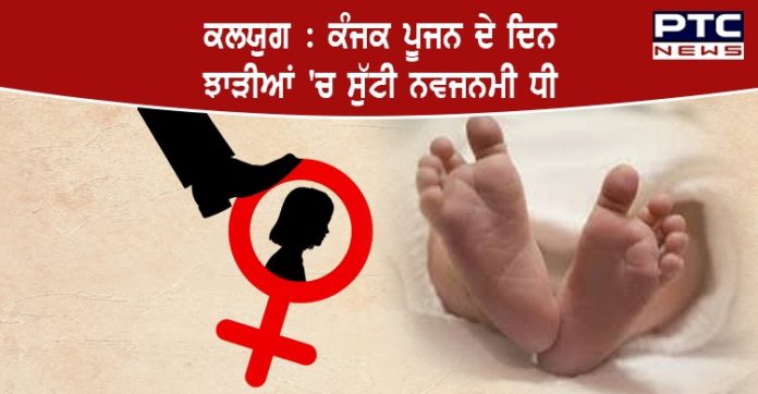 newborn baby girl newborn baby girl