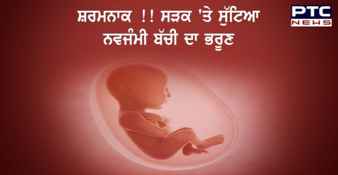 New Born baby girl New Born baby girl