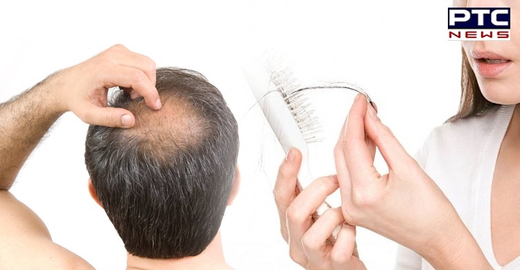 5 foods that block DHT and help to fight hair loss | Health and Fitness -  PTC News