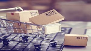 Woman shopping online for Rs 5 lakh, three-month-old lion child found box