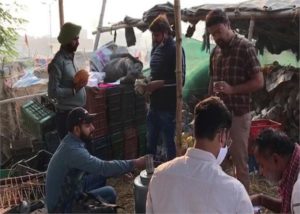 papaya warehouse in a garbage dump, raid by the health department