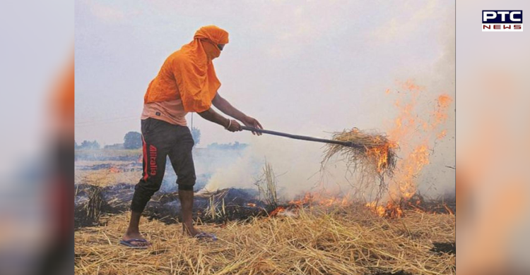 Punjab stubble burning: Pollution Control Board imposes total Rs 12.25 lakh fine in 460 cases