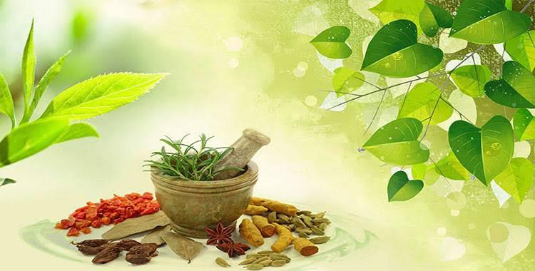 Know about these powerful Ayurveda herbs with their health benefits