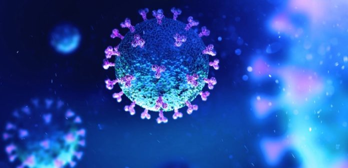Coronavirus Update