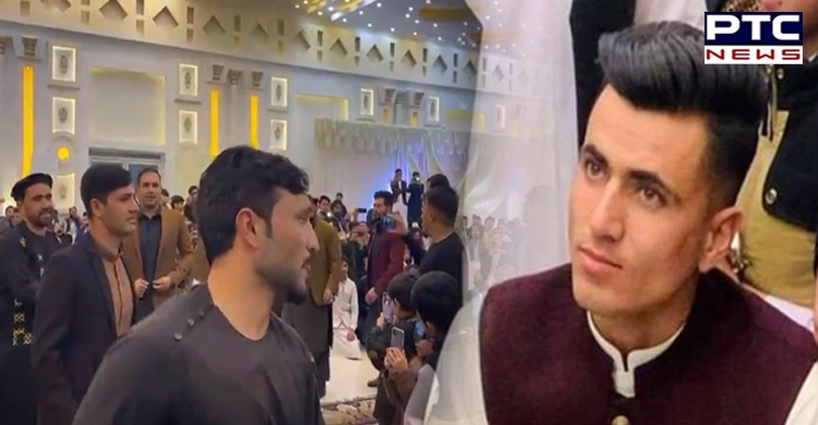 Kings XI Punjab, Afghanistan spinner Mujeeb ur Rahman gets married, players shake a leg at wedding [VIDEO]