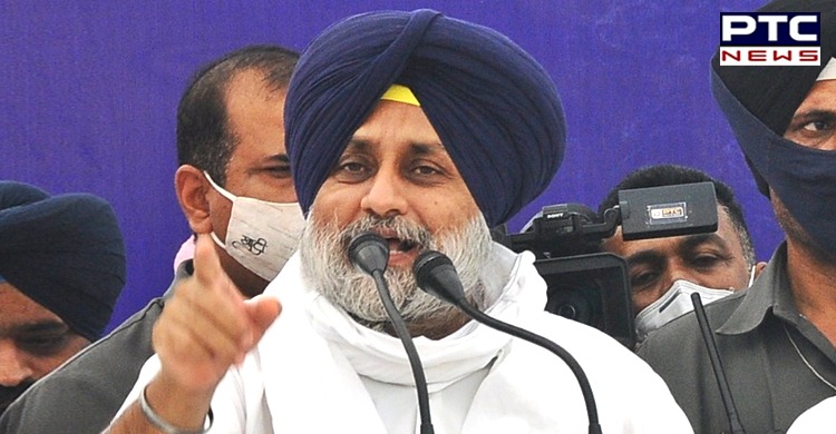 Once SAD forms govt in Punjab, we will order probe into SC Scholarship Scam: Sukhbir Badal