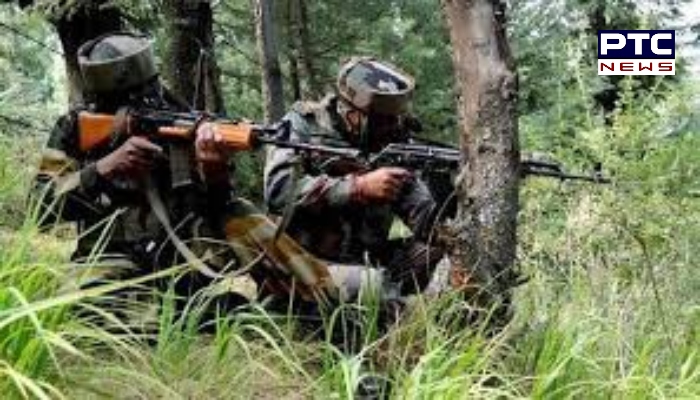 Seven to eight Pakistan Army soldiers killed in by Indian Army