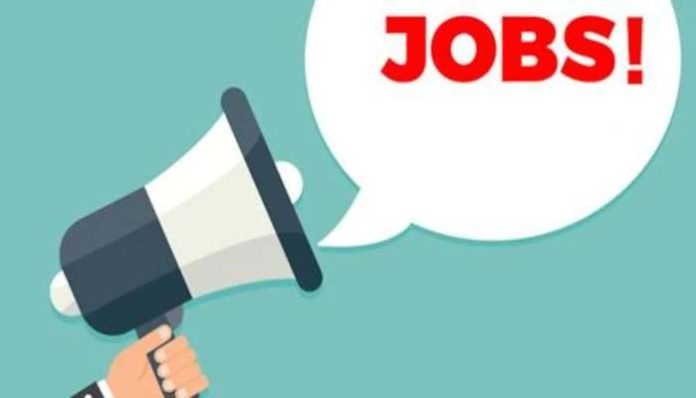 To cope with Corona pandemic Himachal govt decided to hire manpower (1) Jobs in Himachal