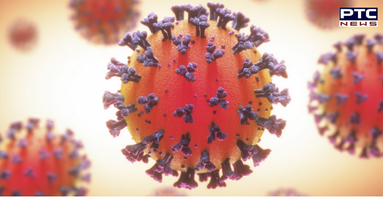 Coronavirus Update: India's COVID-19 tally rises to 89,12,908