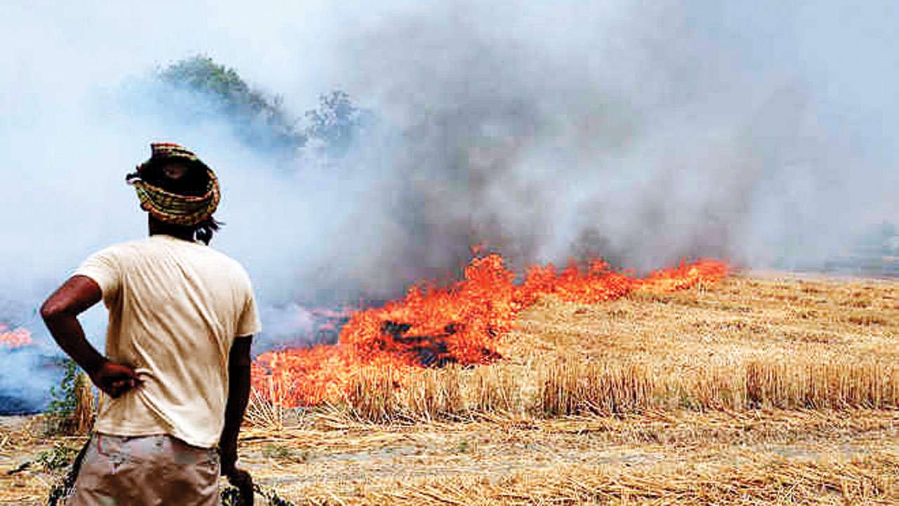 Highest Stubble burning cases in 3-years, cross 58,000 in Punjab