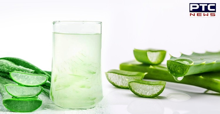Amazing health benefits of Aloe Vera juice you didn't know about