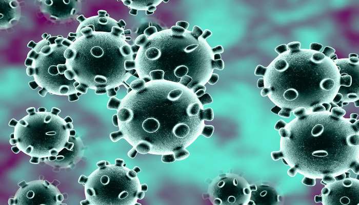 New COVID strain in India: 14 more cases of new mutant coronavirus strain which was found in UK have been detected in India. 