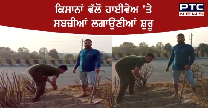 Farmers vegetables 1 Farmers started planting vegetables on the highway in Delhi Morcha
