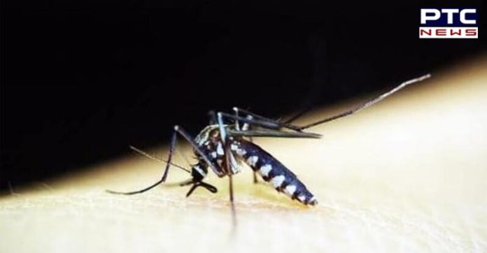 WHO World Malaria Report 2020: India sees reduction of malaria burden WHO World Malaria Report 2020: India sees reduction of malaria burden