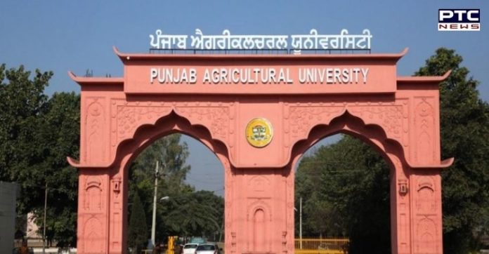 Punjab CM congratulates PAU for no. 2 ICAR ranking among agriculture universities Punjab CM congratulates PAU for no. 2 ICAR ranking among agriculture universities
