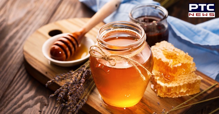 Centre for Sci & Environment: Honey sold by leading Indian brands adulterated with sugar syrup