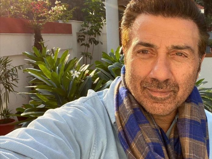 sunny deol
