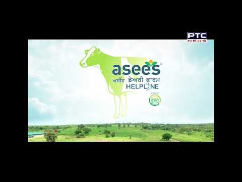 Asees Dairy Farm Helpline | ਪਸ਼ੂਆਂ ਵਿਚ ਟੀਕਾਕਰਨ ਤੇ ਮਿਲੱਪ ਰਹਿਤ ਕਰਨ ਦੀ ਮਹੱਤਤਾ | Episode 10 | Season 01