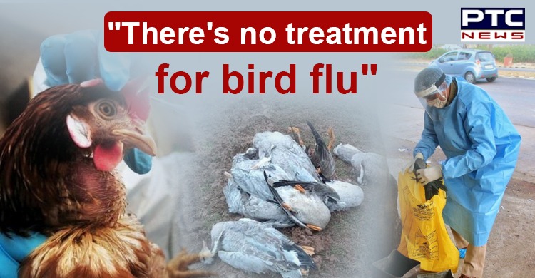 avian-influenza-bird-flu-can-be-transmitted-to-humans-says-union-minister