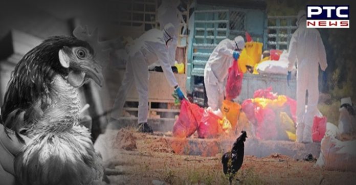 Avian Influenza: The outbreak of Bird flu has been confirmed in 9 States in poultry birds including Uttar Pradesh and Punjab. Avian Influenza: The outbreak of Bird flu has been confirmed in 9 States in poultry birds including Uttar Pradesh and Punjab.