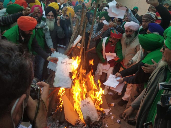 lohari at singhu