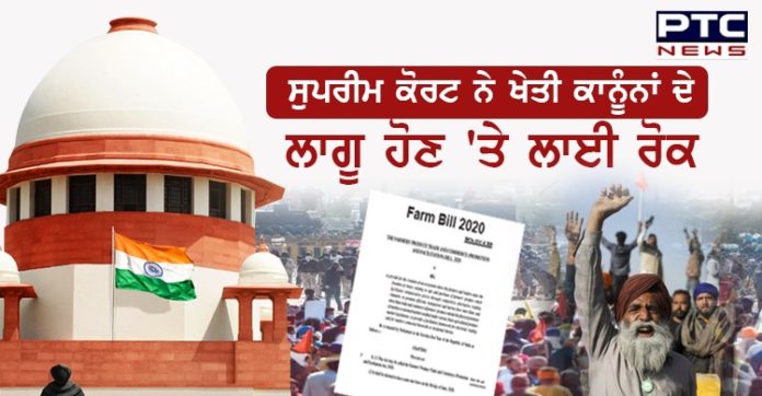 supreme court hearing 1 Supreme Court to hear pleas on farm laws : SC restrains implementation of Agriculture laws