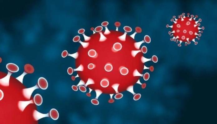 66,11,561 people vaccinated with COVID19 Vaccine (1) Corona Vaccination India