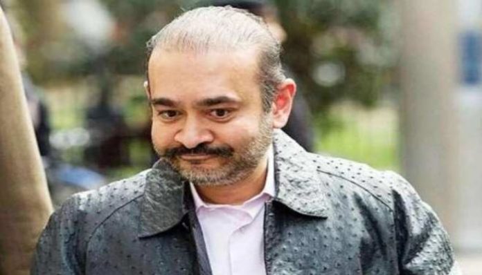 UK extradition judge orders Nirav Modi to be extradited to India Nirav Modi Latest News