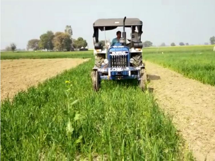 UP and Haryana farmers Destroyed wheat with tractor