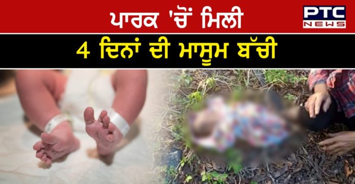 4-day-old baby 1 4-day-old newborn girl found in park near Ludhiana Lodhi Club